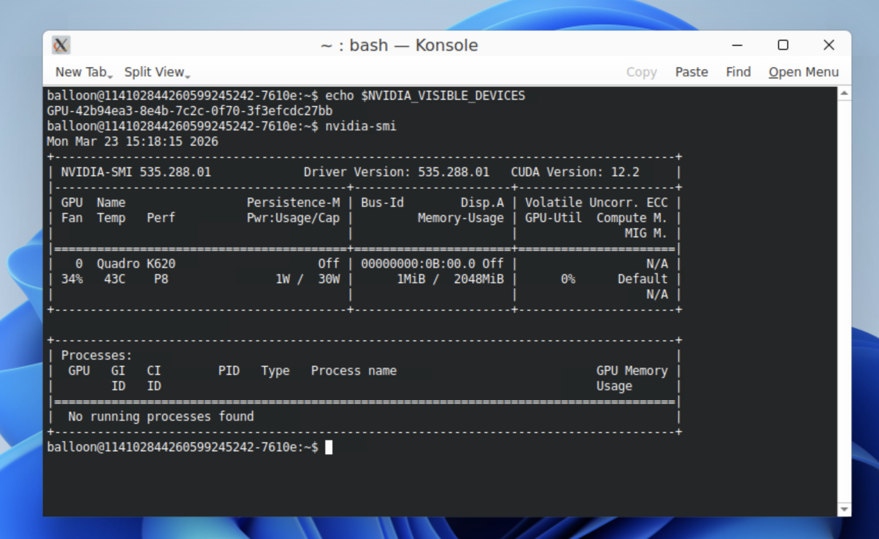 showoverwrite_environment_variable_for_application