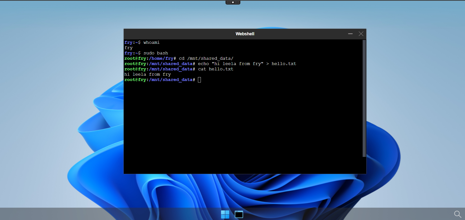 /mnt/shared_data files